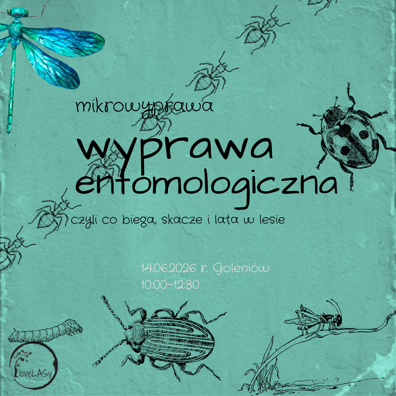 Wyprawa entomologiczna 21.06.2026 Goleniów